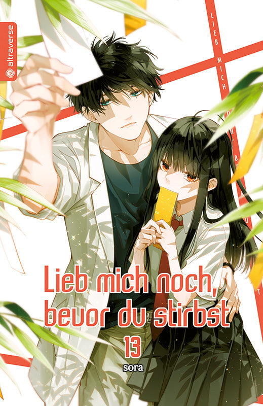Lieb mich noch, bevor du stirbst 13 (Sora)