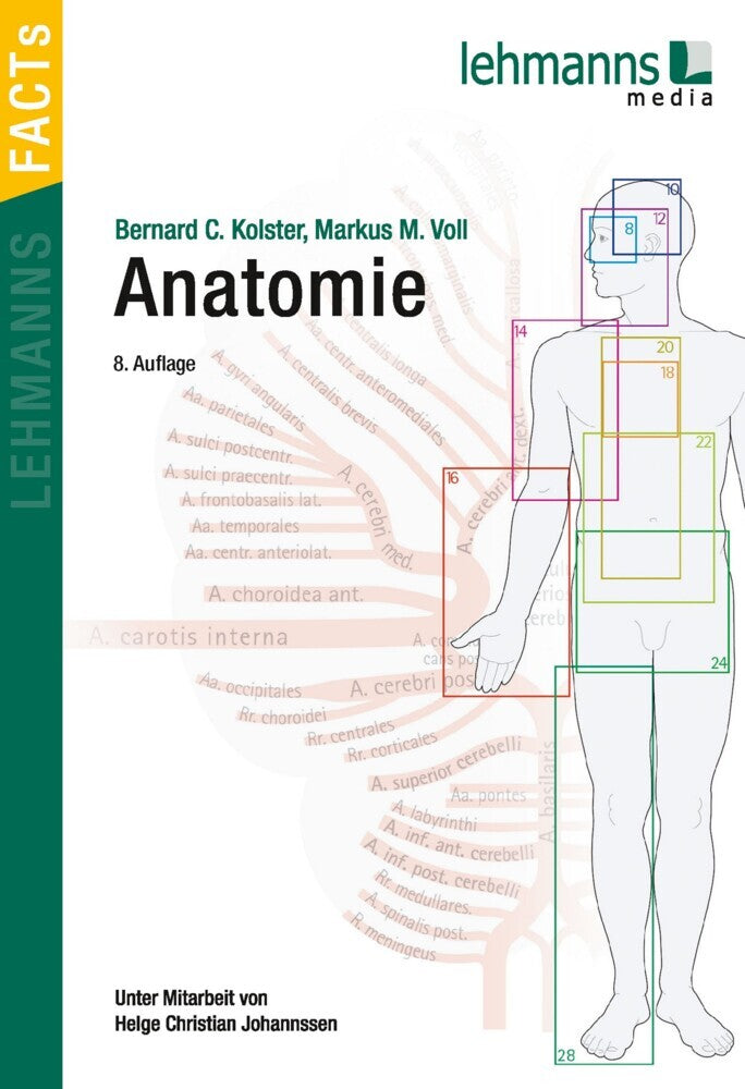 Anatomie (Markus M. Voll)