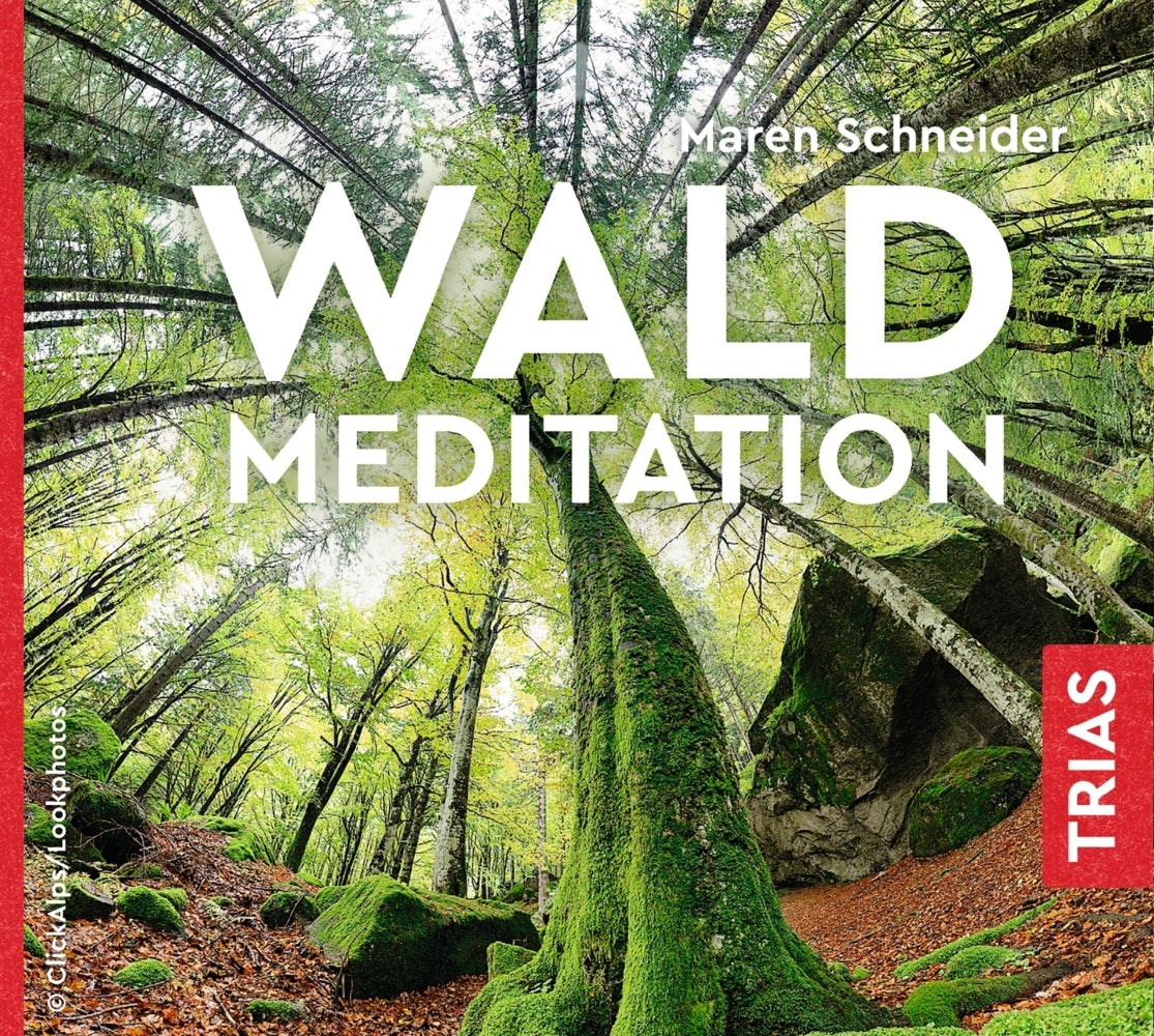Waldmeditation, Audio-CD (Maren Schneider)