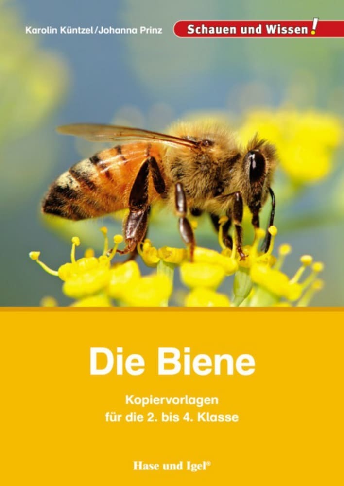 Die Biene - Kopiervorlagen für die 2. bis 4. Klasse (Karolin N. Küntzel)