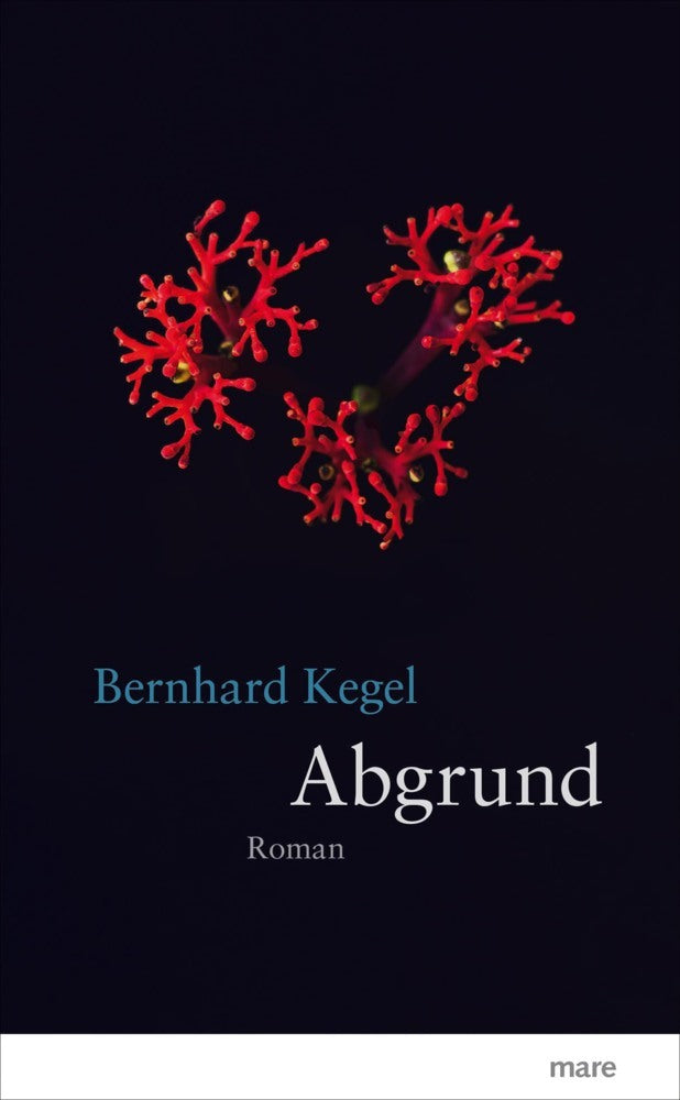 Abgrund (Bernhard Kegel)