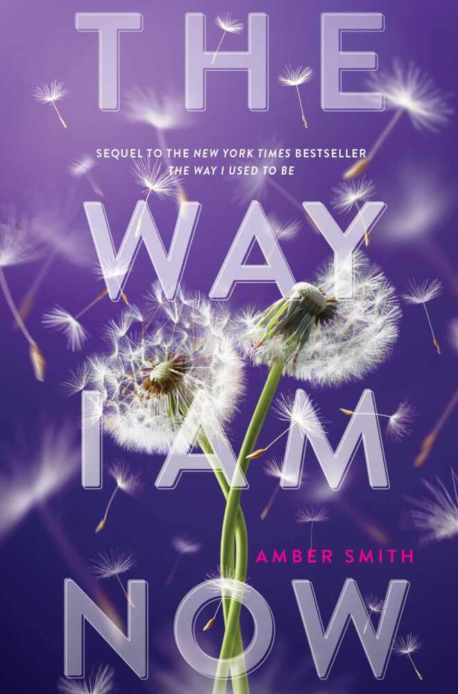 The Way I Am Now (Amber Smith)