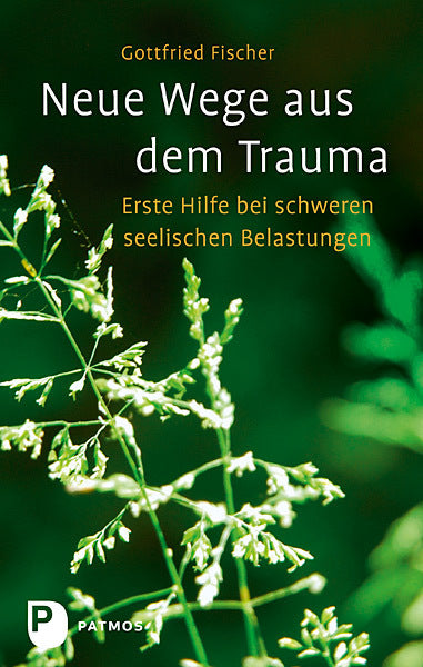 Neue Wege aus dem Trauma (Gottfried Fischer)