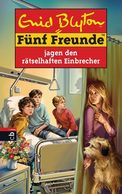 Fünf Freunde jagen den rätselhaften Einbrecher (Enid Blyton)
