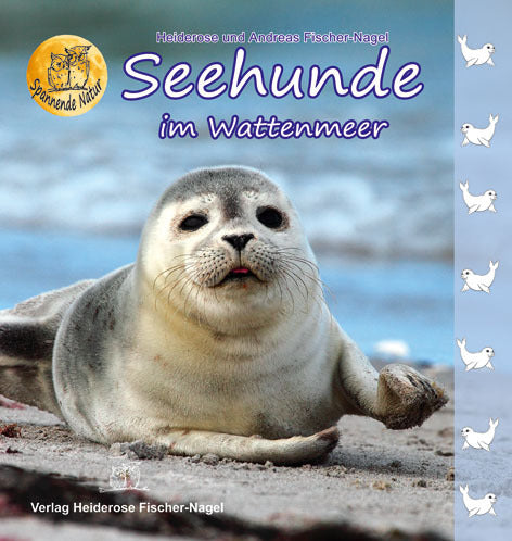 Seehunde im Wattenmeer (Heiderose Fischer-Nagel)