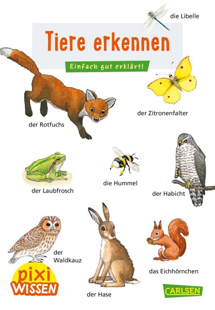 Pixi Wissen 30: Tiere erkennen (Hanna Sörensen)