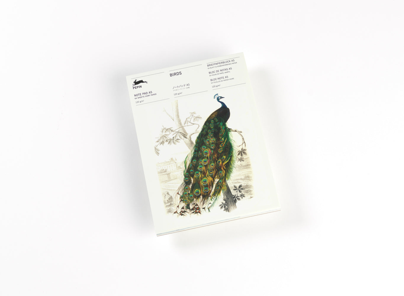 Birds (Pepin Van Roojen)