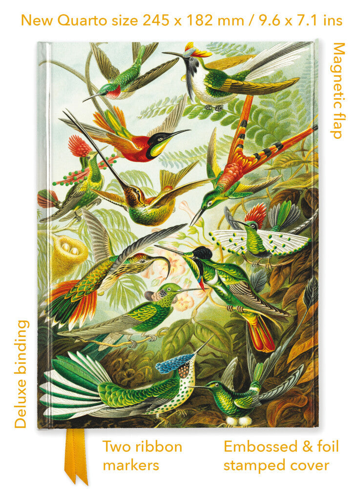 Premium Notizbuch Quartformat: Ernst Haeckel, Kolibris (Flame Tree Publishing)