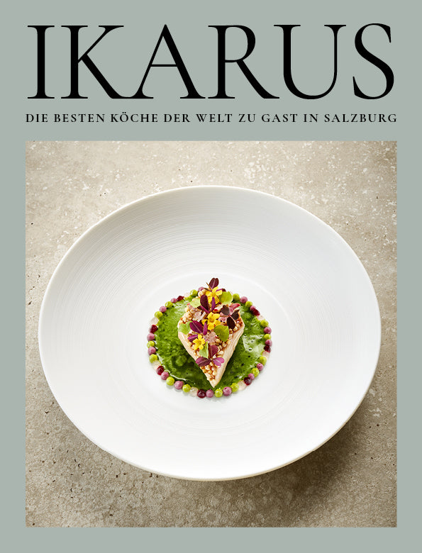 Ikarus (Martin Klein)