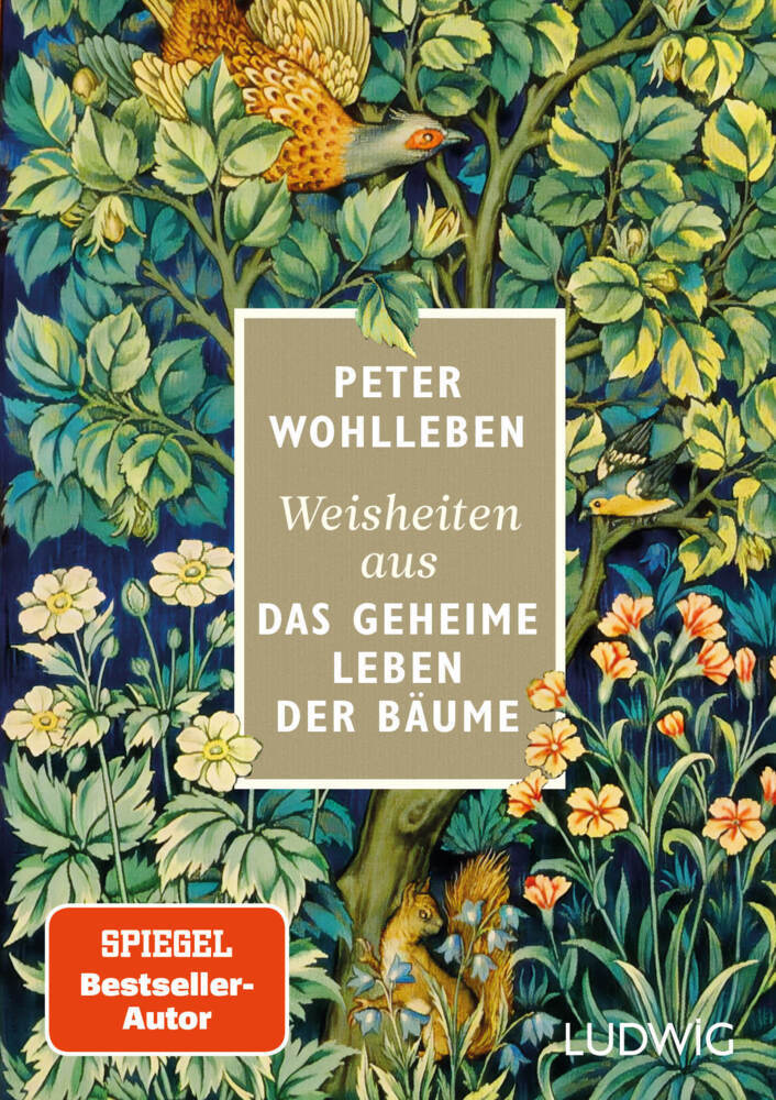 Weisheiten aus »Das geheime Leben der Bäume« (Peter Wohlleben)