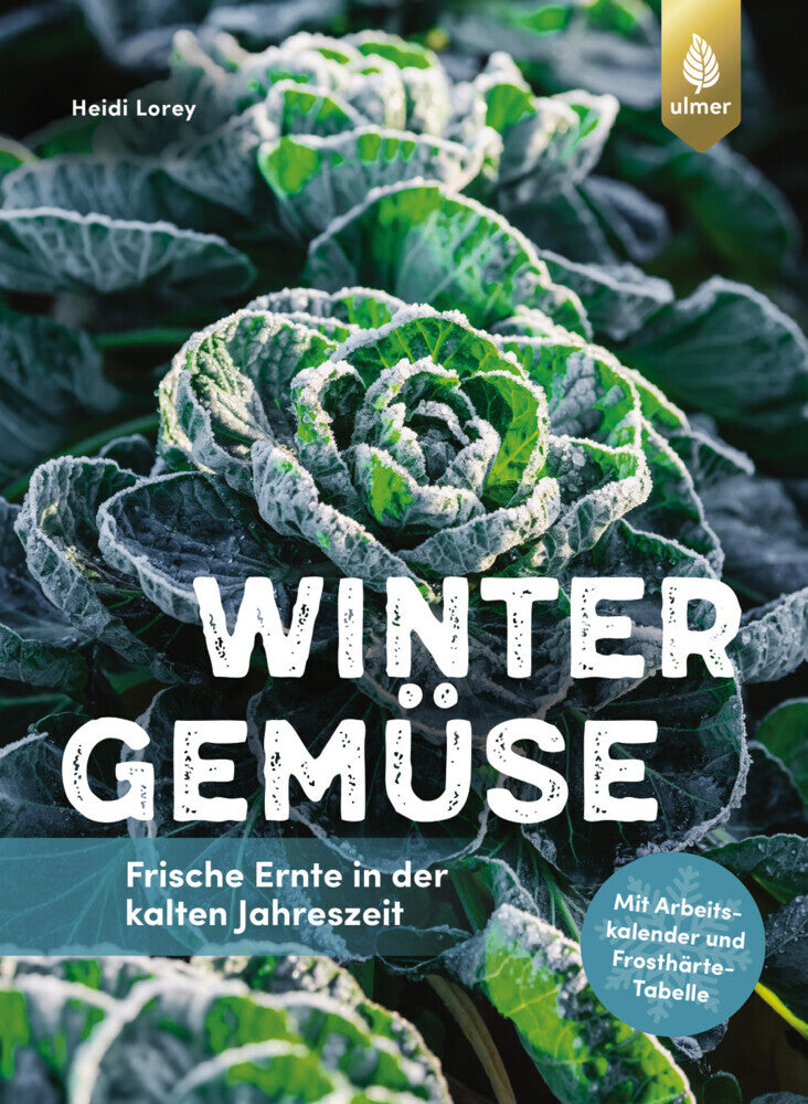 Wintergemüse (Heidi Lorey)