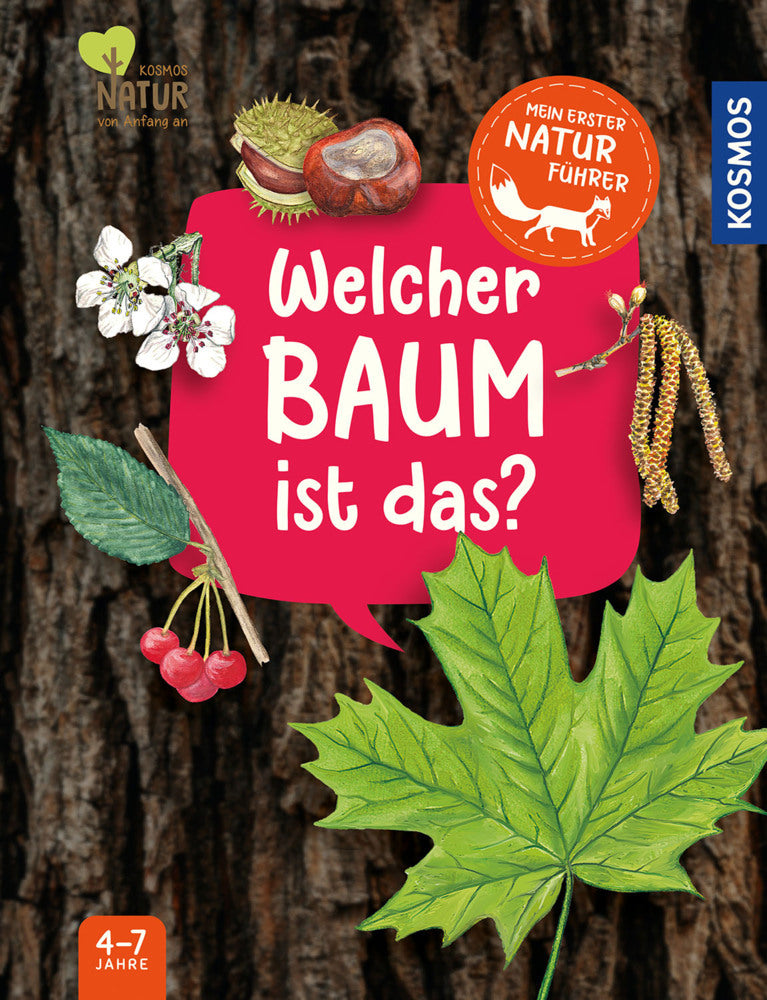 Mein erster Naturführer, Welcher Baum ist das? (Julia Hiller)