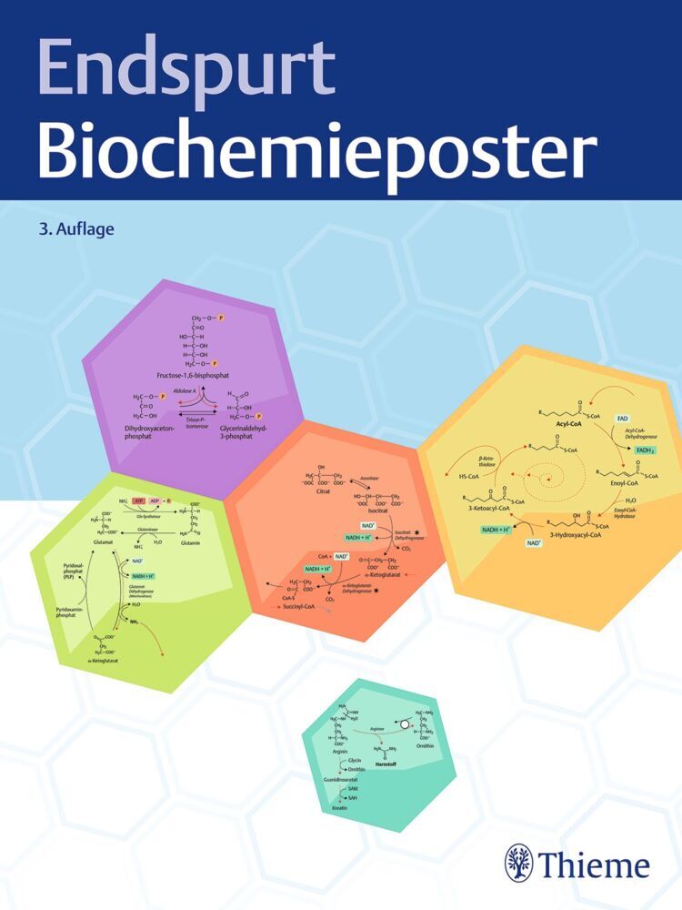 Endspurt Biochemie