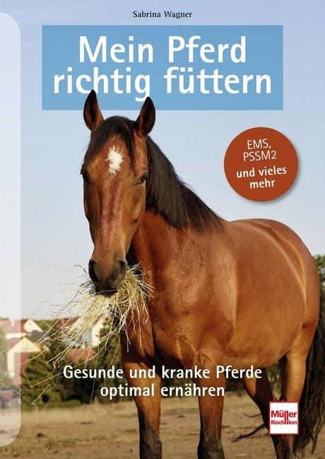 Mein Pferd richtig füttern (Sabrina Wagner)