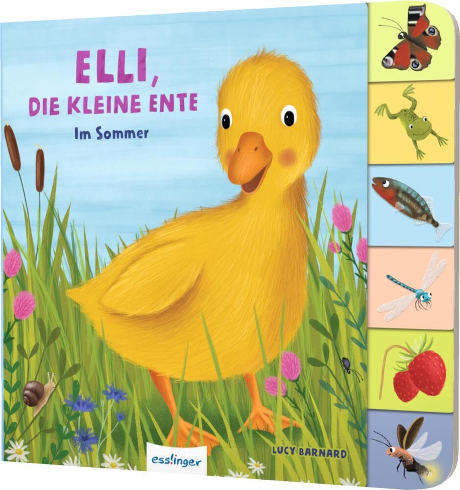 Mein erstes Jahreszeitenbuch: Elli, die kleine Ente (Anja Kiel)