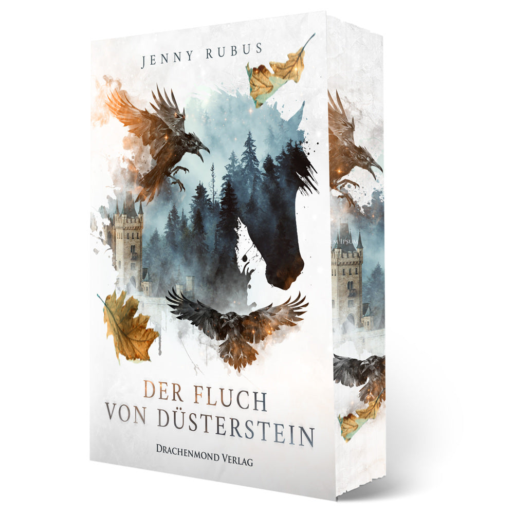 Der Fluch von Düsterstein (Jenny Rubus)