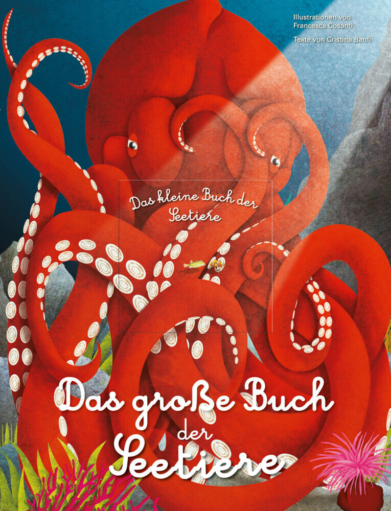 Das grobetae Buch der Seetiere. Das kleine Buch der Seetiere (Cristina Banfi)