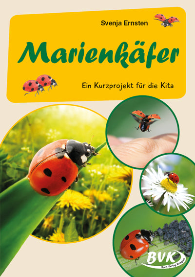 Marienkäfer (Svenja Ernsten)