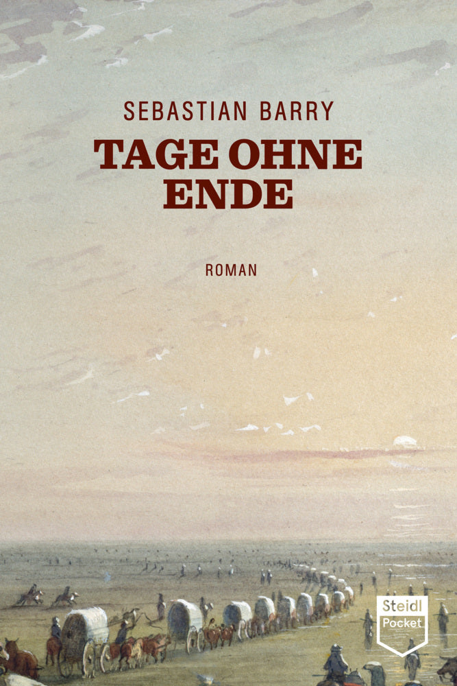Tage ohne Ende (Sebastian Barry)