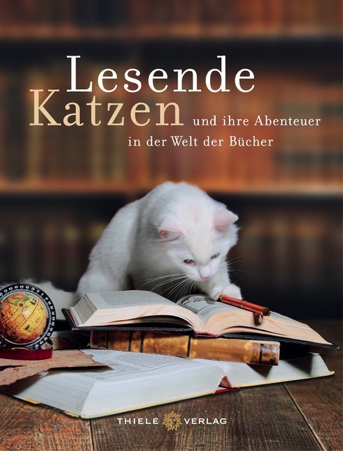 Lesende Katzen (Romy Thiele)