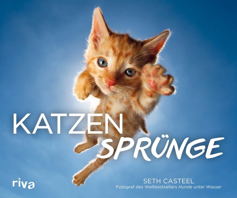 Katzensprünge (Seth Casteel)