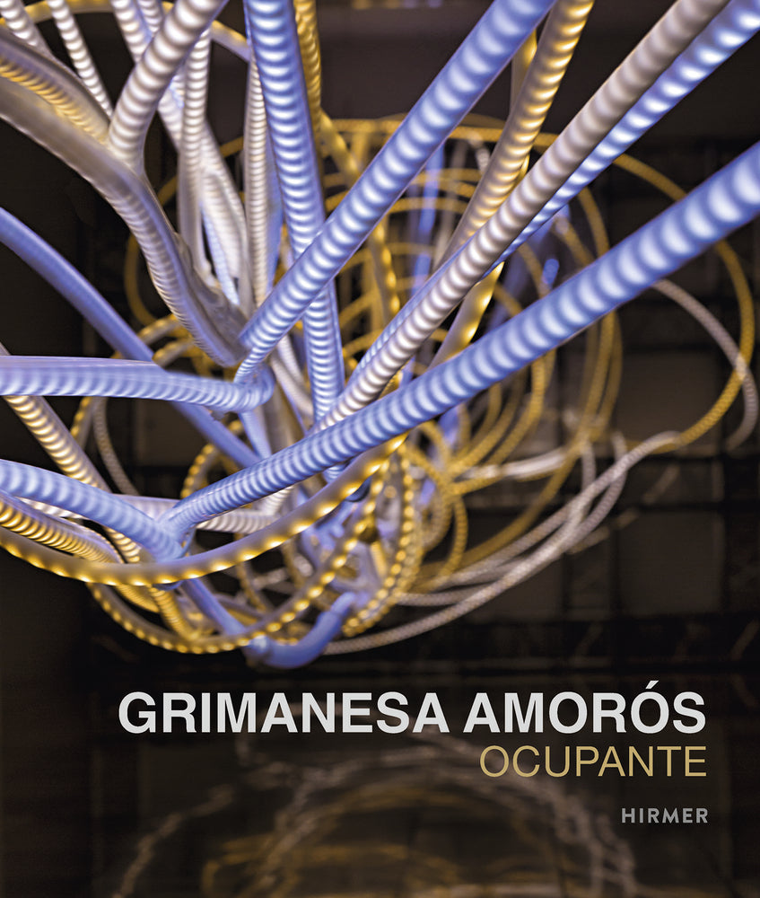 Grimanesa Amorós. Ocupante (Beate Reifenscheid)
