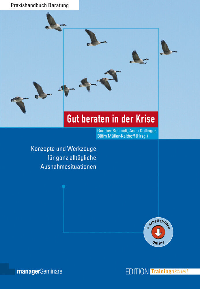 Gut beraten in der Krise (Gunther Schmidt)