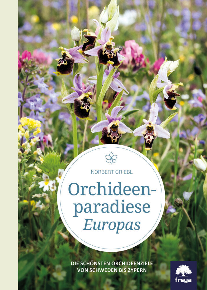 Orchideenparadiese Europas (Norbert Griebl)