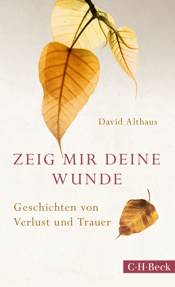 Zeig mir deine Wunde (David Althaus)