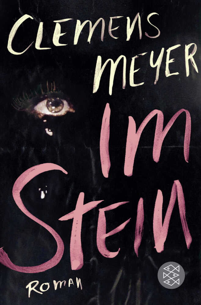 Im Stein (Clemens Meyer)