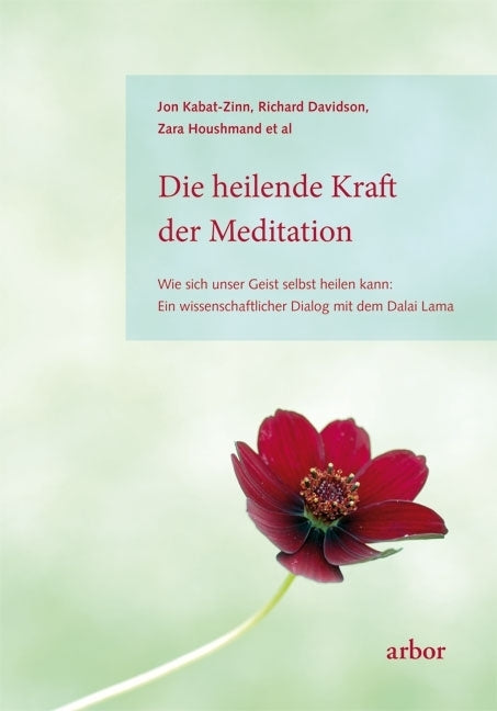 Die heilende Kraft der Meditation (Jon Kabat-Zinn)