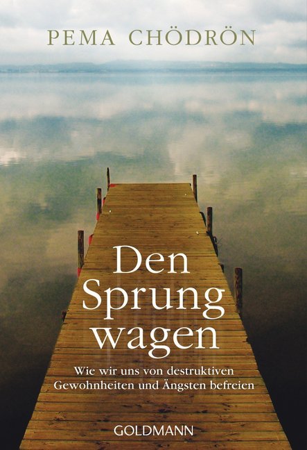 Den Sprung wagen (Pema Chödrön)