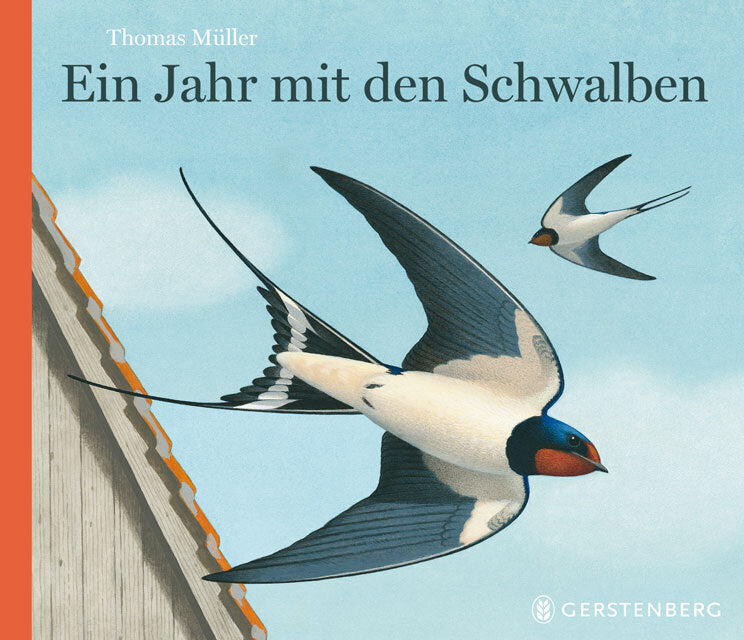 Ein Jahr mit den Schwalben (Thomas Müller)