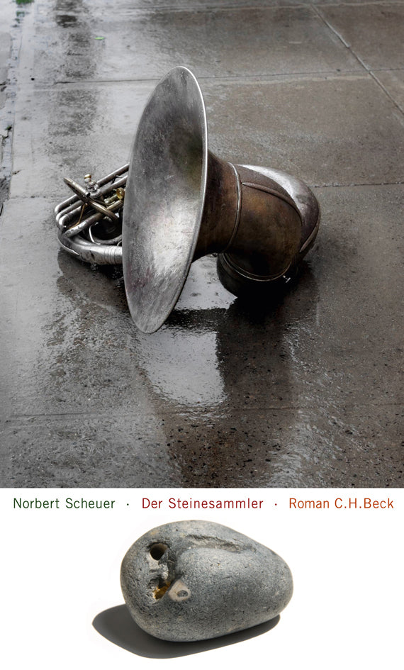 Der Steinesammler (Norbert Scheuer)