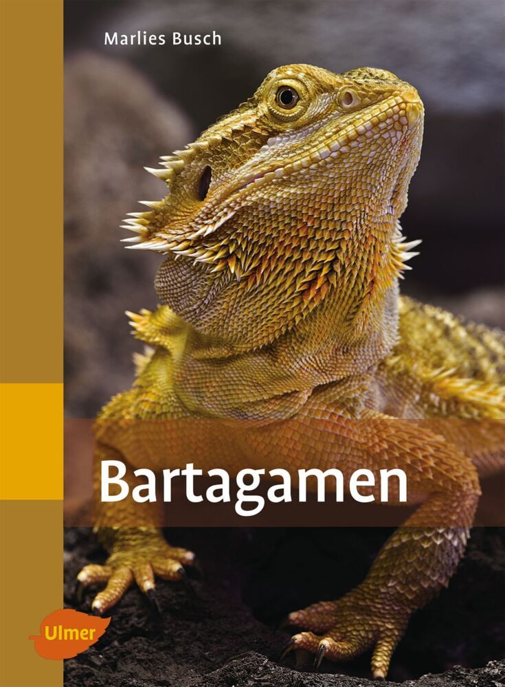 Bartagamen (Marlies Busch)