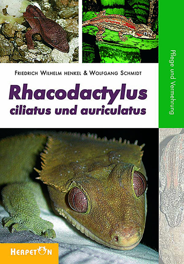Rhacodactylus ciliatus und auriculatus (Friedrich W Henkel)