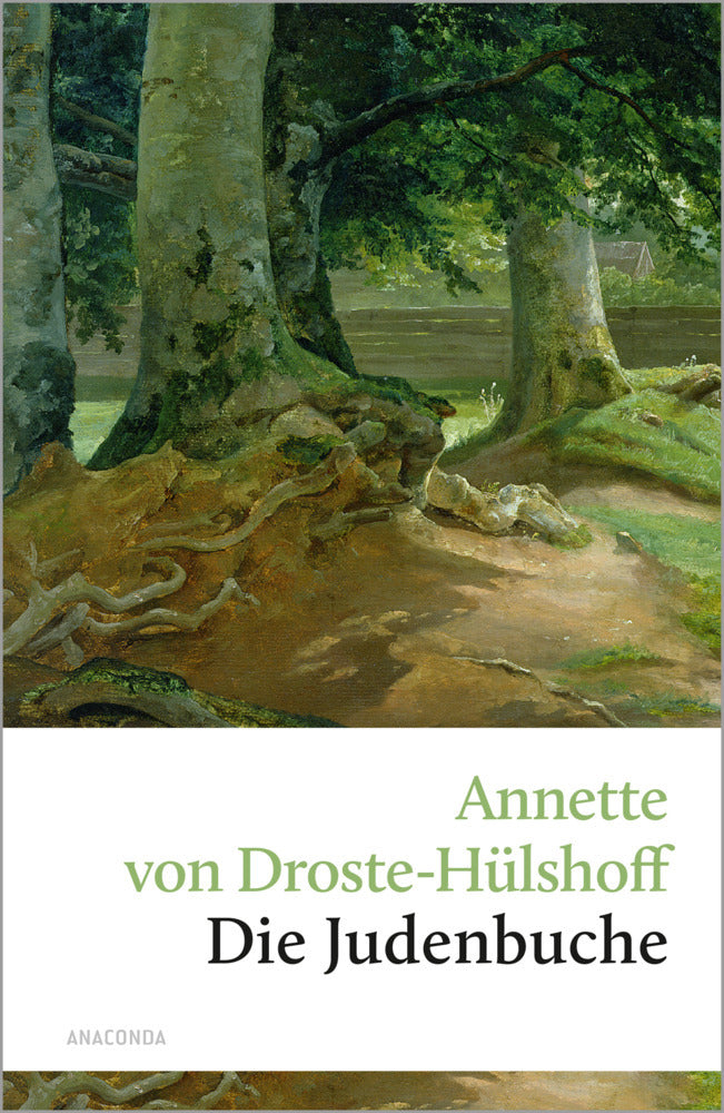 Die Judenbuche (Annette Von Droste-Hülshoff)