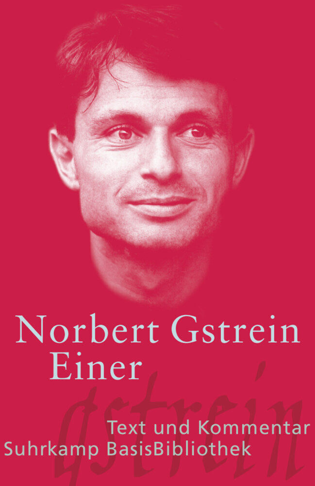 Einer (Norbert Gstrein)