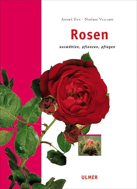Rosen (Noémie Vialard)