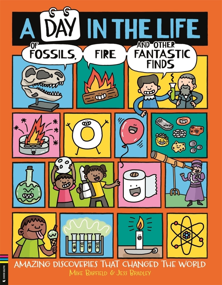 A Day in the Life of Fossils, Fire and Other Fantastic Finds (Mike Barfield)
