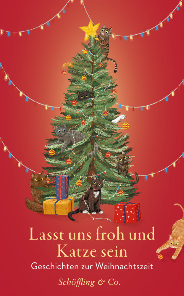 Lasst uns froh und Katze sein (Julia Bachstein)