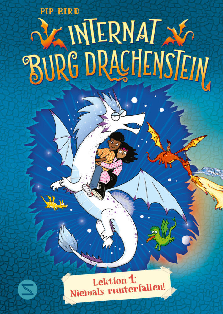 Internat Burg Drachenstein. Drachenreiten Lektion 1: Niemals runterfallen! (Pip Bird)