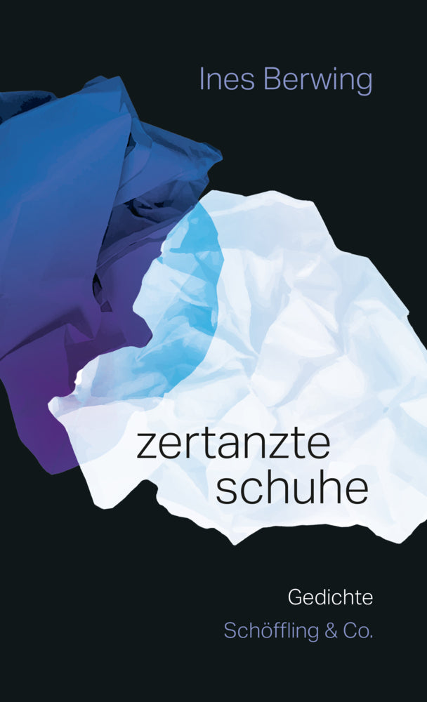 zertanzte schuhe (Ines Berwing)
