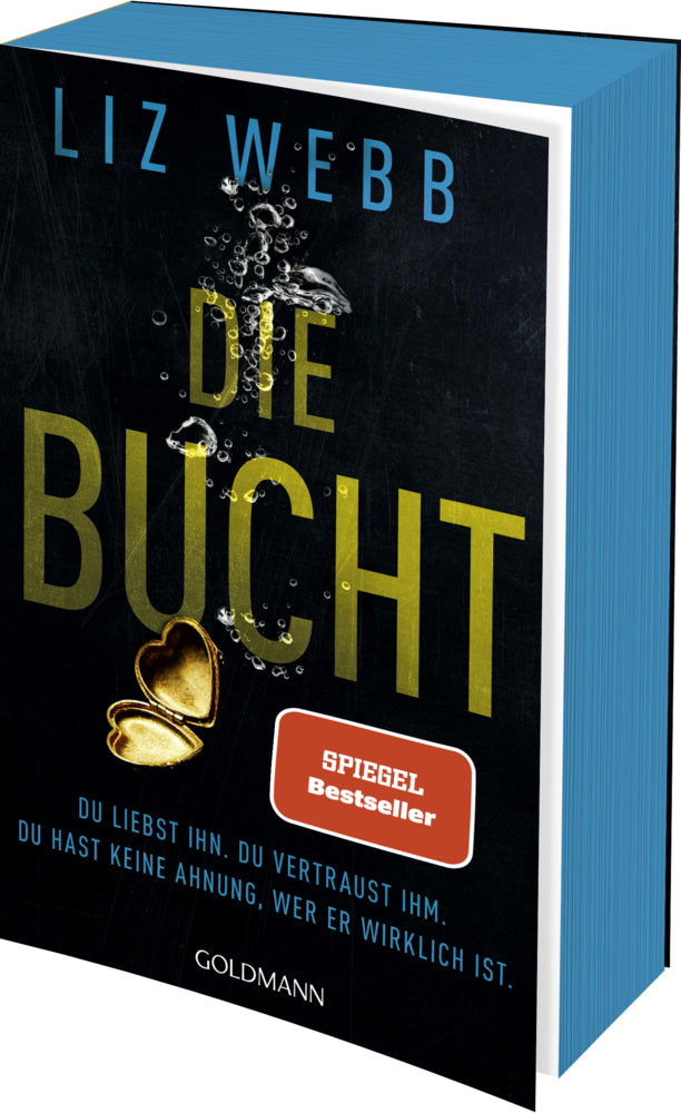 Die Bucht (Liz Webb)