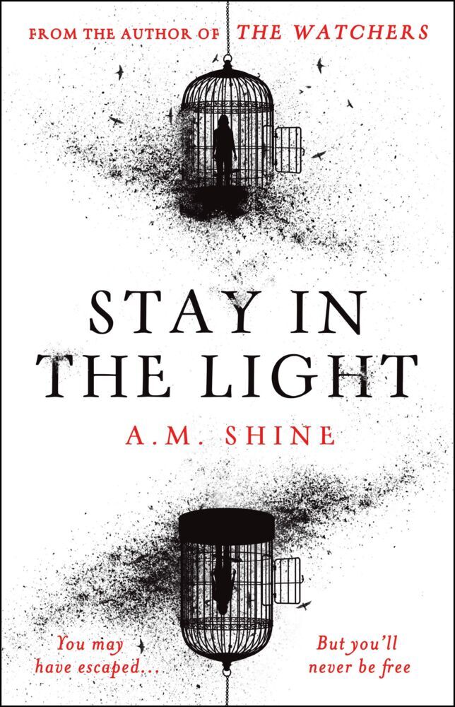 Stay in the Light (A.M. Shine)