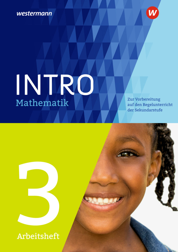 INTRO Mathematik SI - Arbeitsheft 3 (Nicole Hemmers)