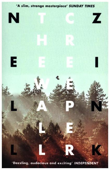 The Wallcreeper (Nell Zink)