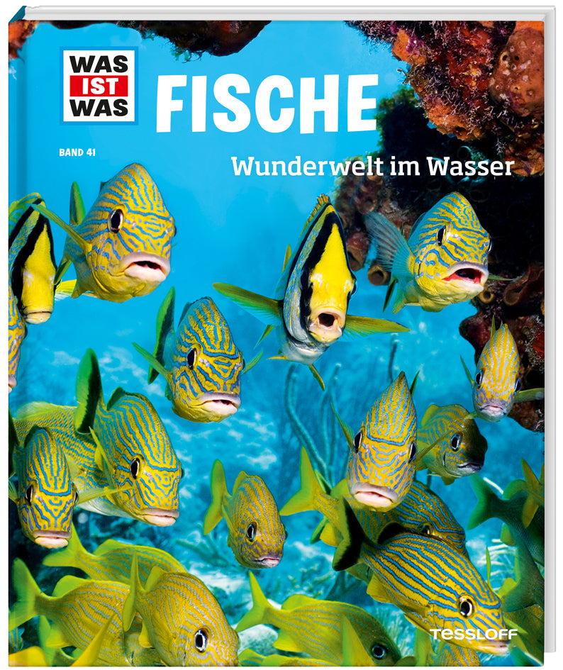 WAS IST WAS Band 41 Fische. Wunderwelt im Wasser (Nicolai Schirawski)