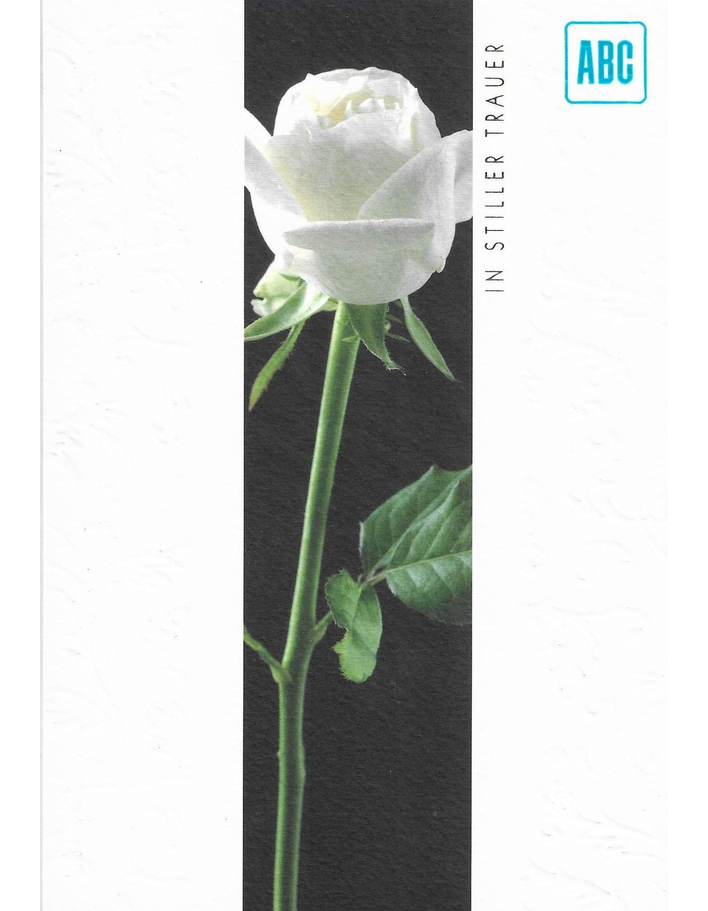 Aufrichtige Anteilnahme B6