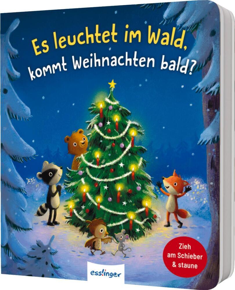 Es leuchtet im Wald, kommt Weihnachten bald? (Anja Kiel)